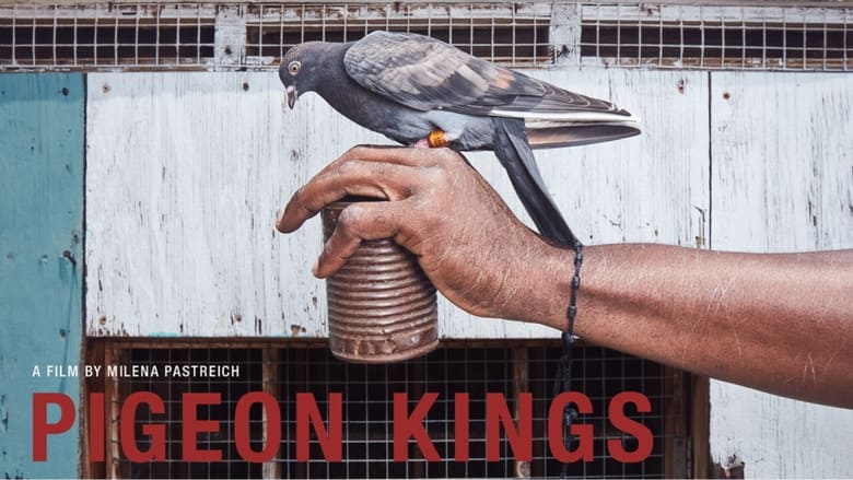 Pigeon Kings 2019 123movies