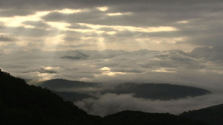 Still image for Wild Hokkaido! season 1 episode 11: The Forest of Shimukappu Still image for Wild Hokkaido! season 1 episode 11: The Forest of Shimukappu