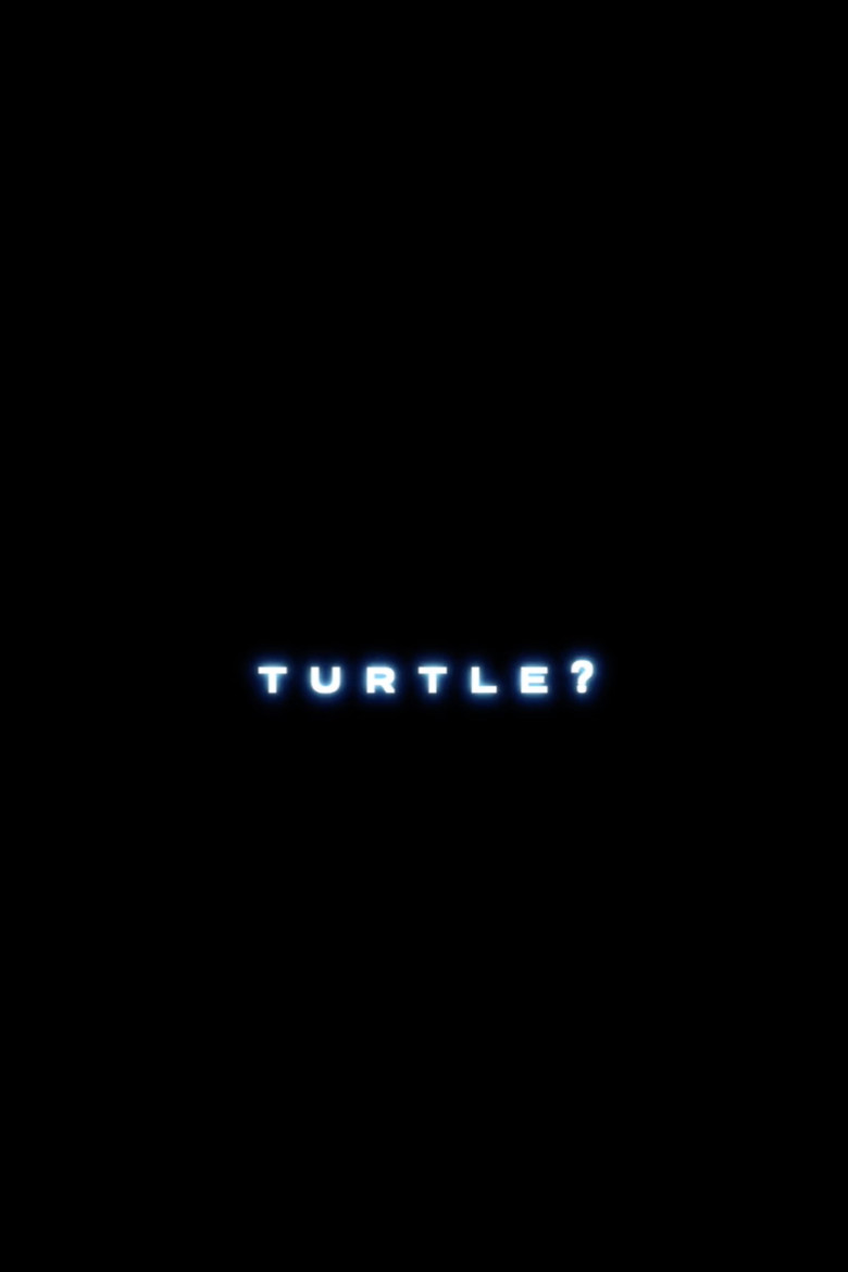 Affiche ou illustration — Turtle?