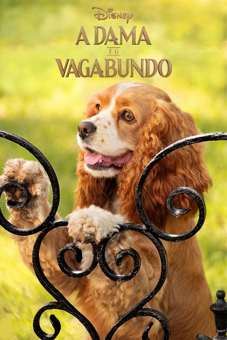 Póster la Película