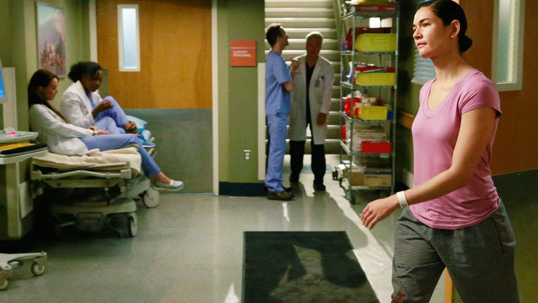 Grey's Anatomy Season 11 Episode 19 Watch Online | AZseries