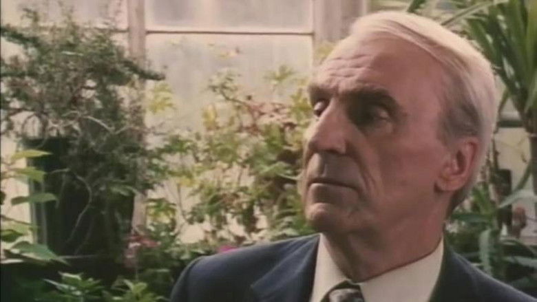 Gallery image from bzcu6w8MWdUYKdjROwmYfyN90IX.jpg