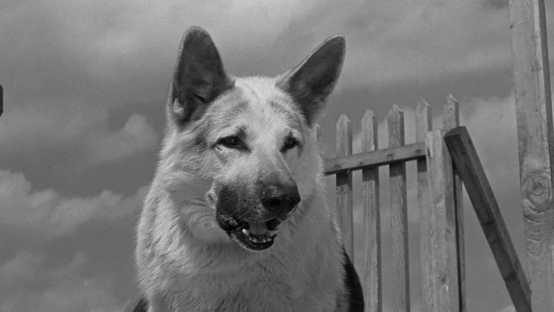 Gallery image from bzdZRJRdtCd9s1ZzVLobn92zjl0.jpg