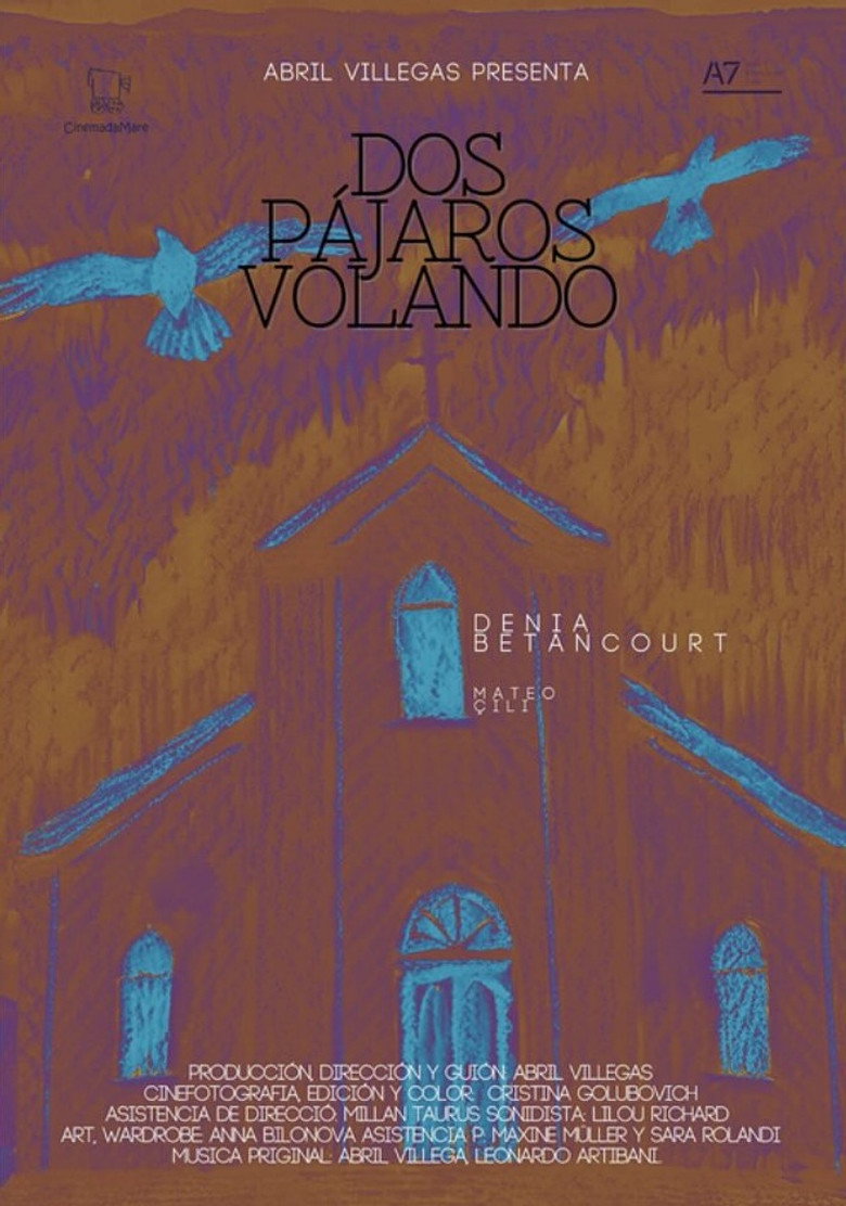 Imatge de Dos pájaros volando