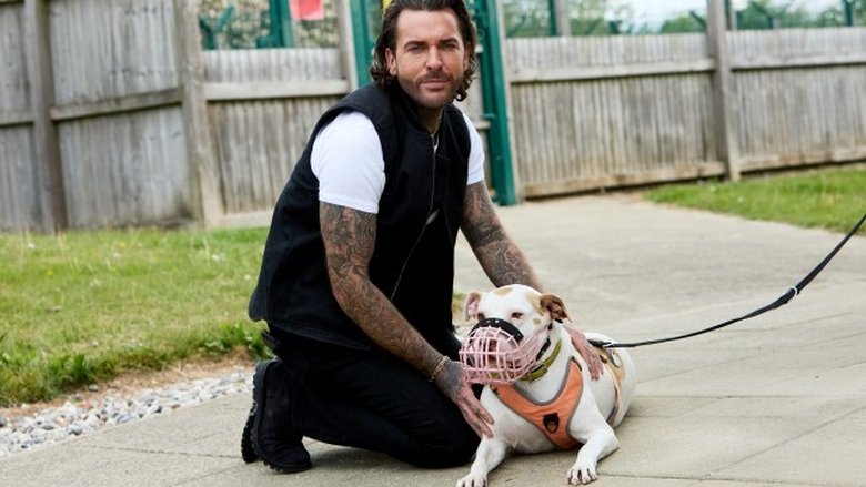 Pete Wicks: For Dogs’ Sake 2×2