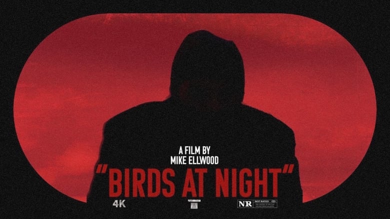 Birds at Night main backdrop