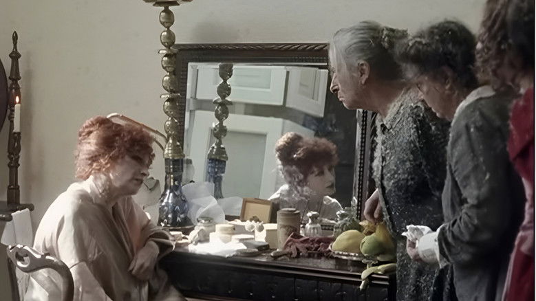 Image d'arrière-plan 3 du film Amélia