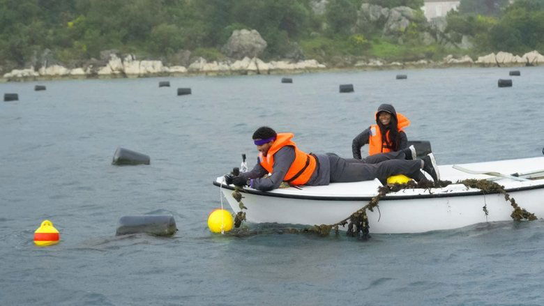 Amazing Race: O milion kolem světa Sezóna 38 Epizoda 6 bombuj