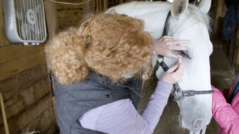 Still image for Ambulances animales season 1 episode 26: Episode 26 Still image for Ambulances animales season 1 episode 26: Episode 26