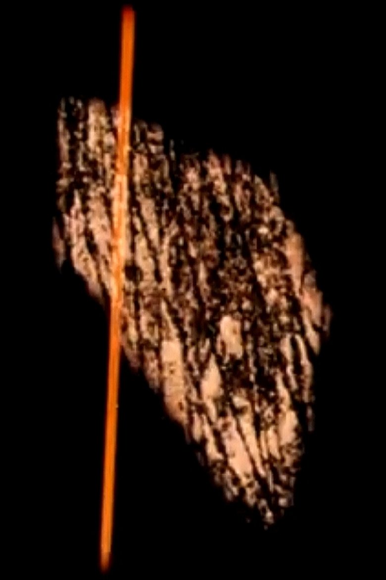 Étude 65 main poster
