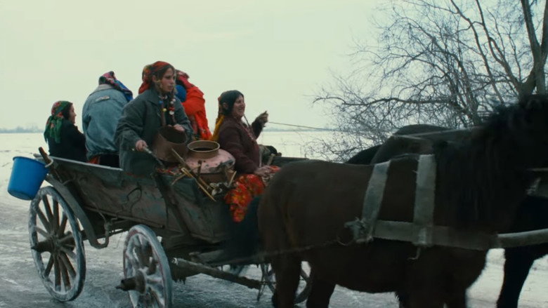 Still from The Crazy Stranger