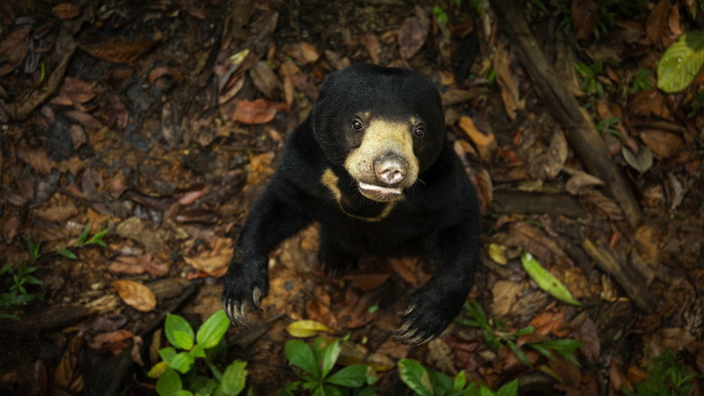 Still from The Secret Lives of Animals - Season 1 Episode 4