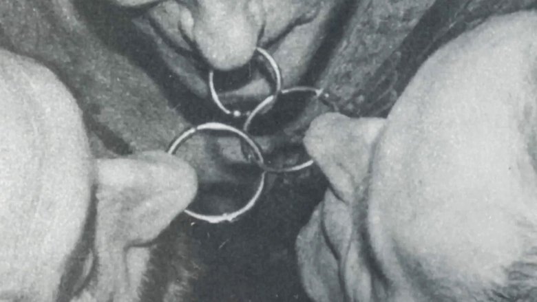 Gallery image from c3X6dbHMB2UCDSBTBA0Eo3zParI.jpg