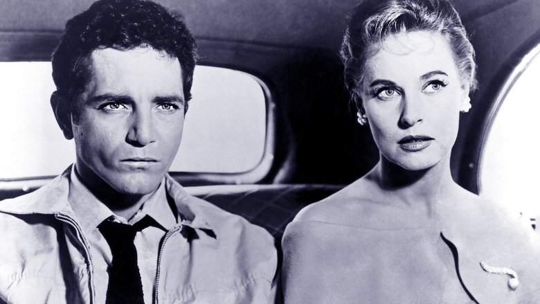 Gallery image from c4rEBU7bUZq3OdDh6yI1tfxnMli.jpg