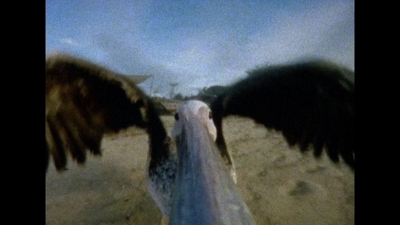 Gallery image from c4vJ7ZJaqDfH4Qw3kEzjINc9pSs.jpg