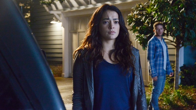 Still image for Secrets and Lies season 1 episode 9: The Mother Still image for Secrets and Lies season 1 episode 9: The Mother