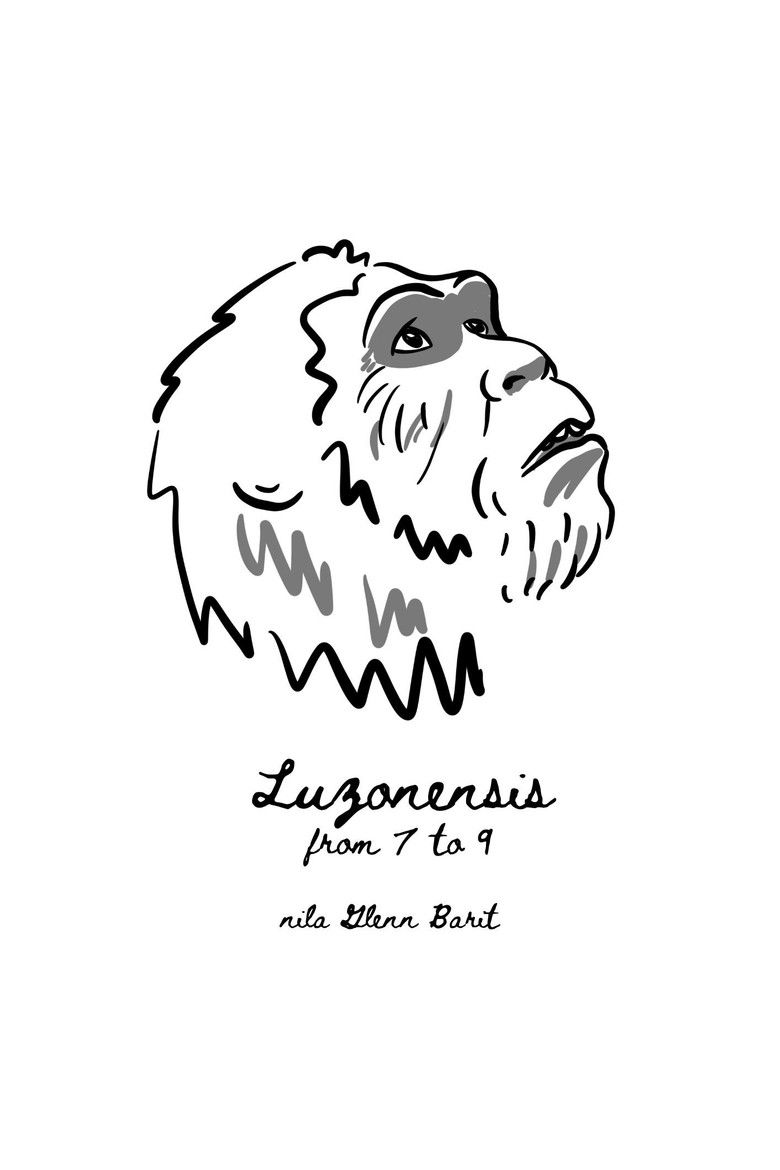 Imatge de Luzonensis Osteoporosis