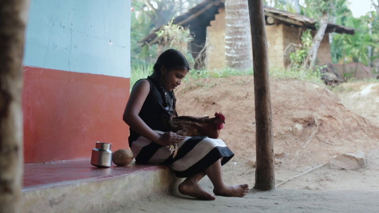 Imatge de Naale Rajaa Koli Majaa