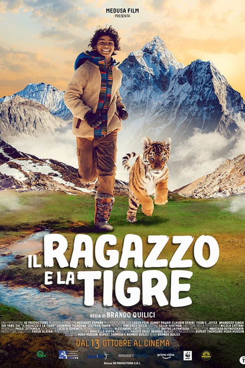 Copertina di Il ragazzo e la tigre