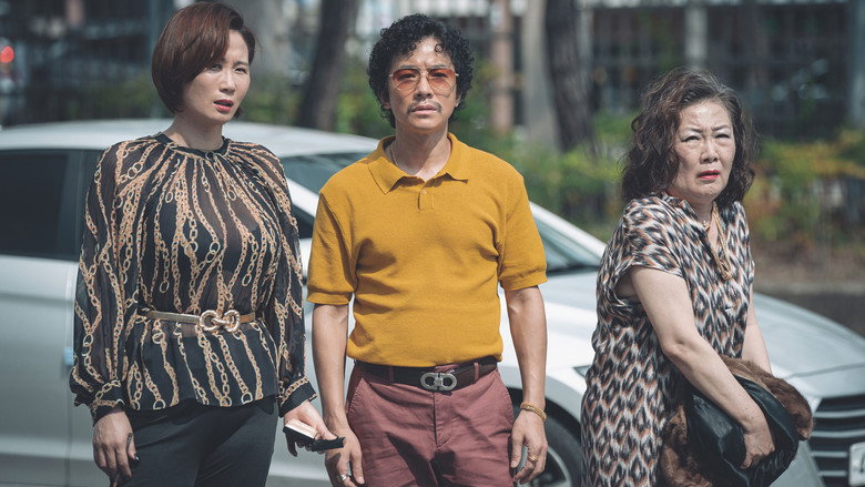 비광