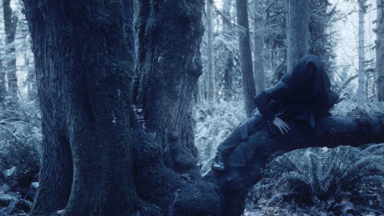 Gallery image from c76Zu66fSIzMqX03CwRpgFNMoV6.jpg