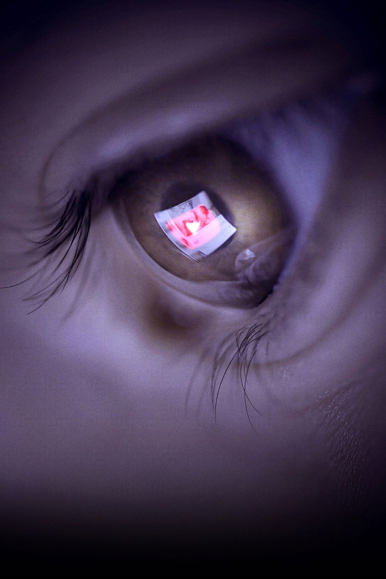 Imatge de The YouTube Effect