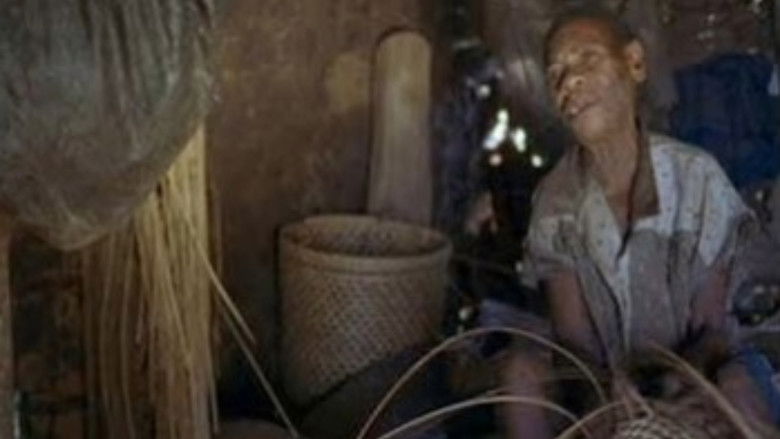 Africa: Voices of the Forest