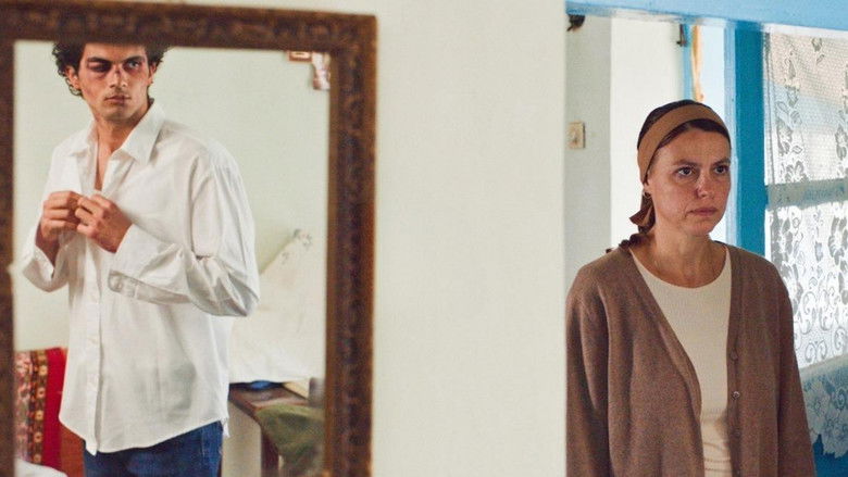 C8iymw4kdnvarxbqkchcdl4dv7l