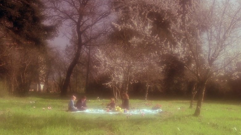 Gallery image from c8MejPc4qb1jol2q7SC74EGnK5n.jpg