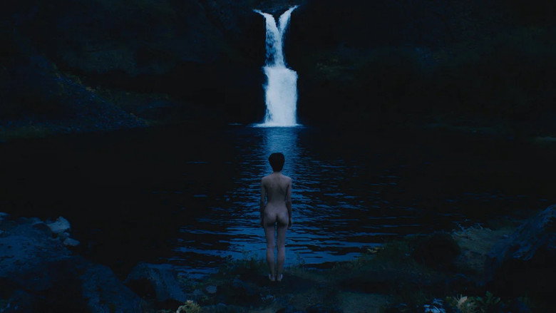Still from I Draw Inside A Sheep