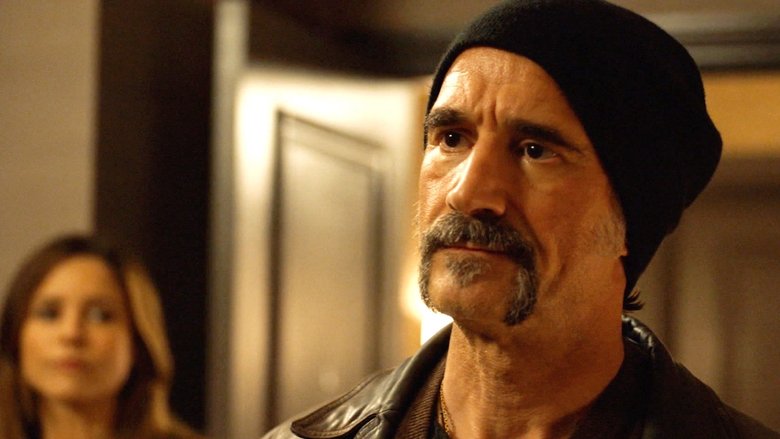 Entre Justice Et Vengeance épisode 1 Chicago Police Department Saison 4 Episode 15 streaming vf Chicago