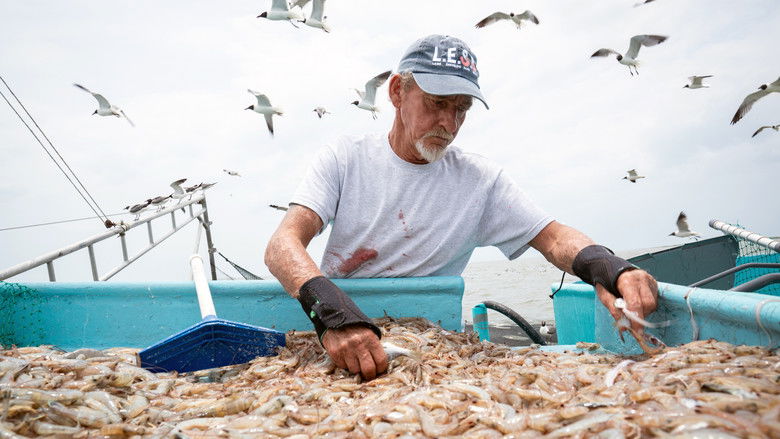 Gallery image from c9gMvk27SPBshkEfy9VJSaKKaRZ.jpg