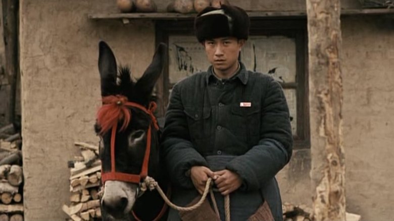 A Tale of Two Donkeys main backdrop