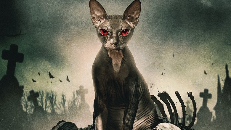 Pet Graveyard (2019) türkçe dublaj izle