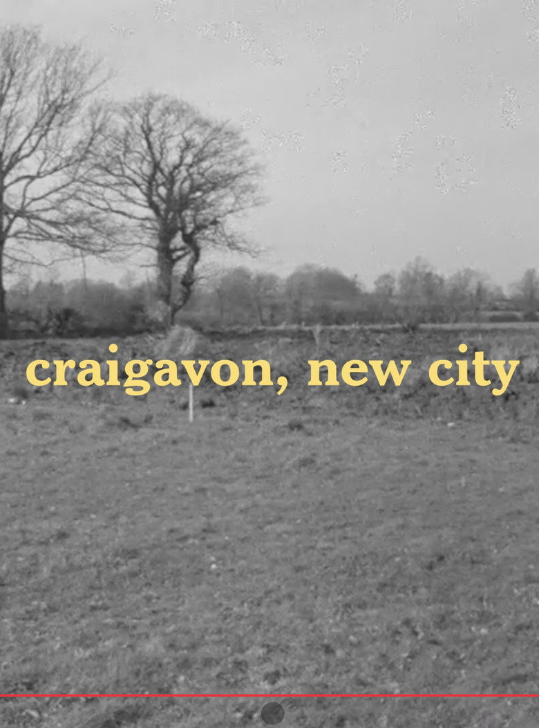 Imatge de Craigavon, New City