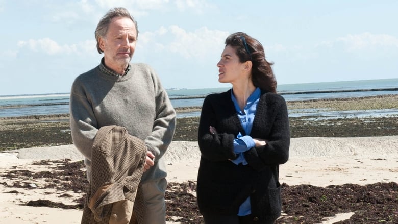 alceste bicyclette synopsis