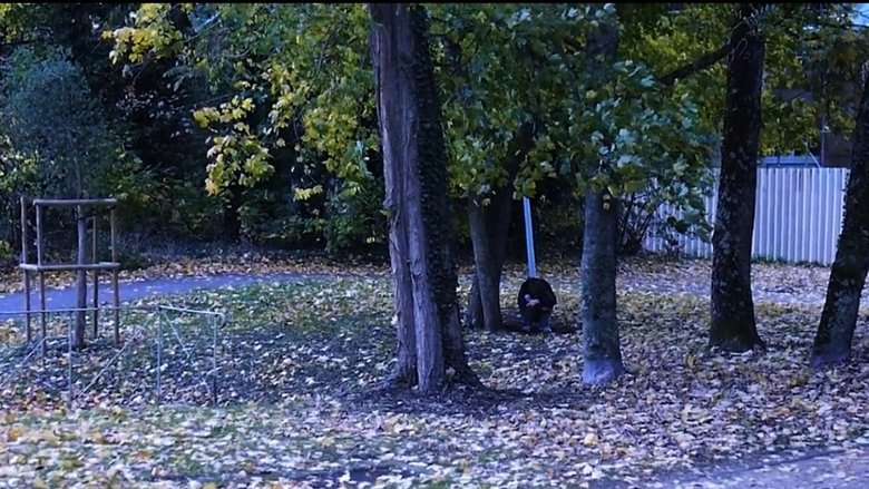 Les Yeux Latents (2025)