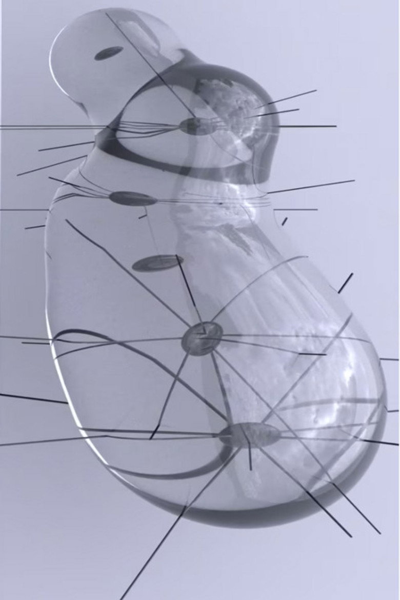 Affiche ou illustration — Temporary structures, no.2