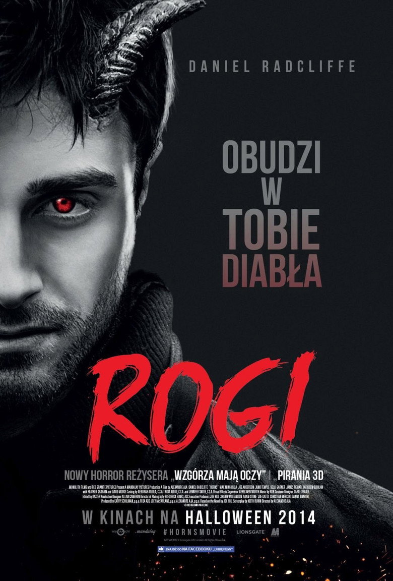 Plakat filmu Rogi
