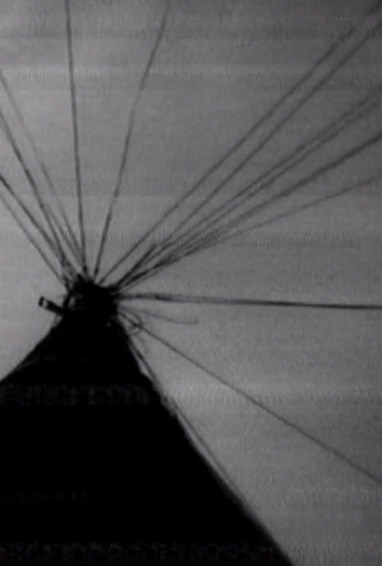 Funnel Web Family Refrigerated poster