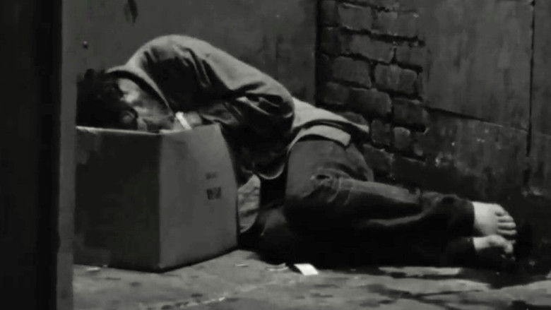 Gallery image from cCIpqp8LdQ8wWSxdLf1nF67wLuE.jpg