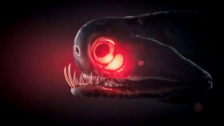 Monsters of the Deep