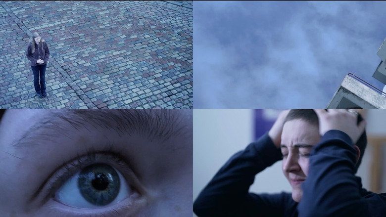 Imatge de Dunkelziffer