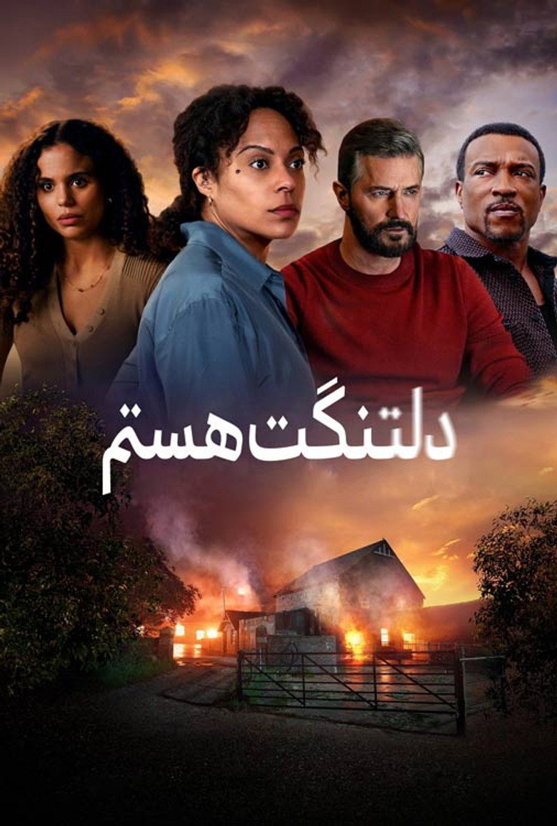 پوستر دلتنگت هستم