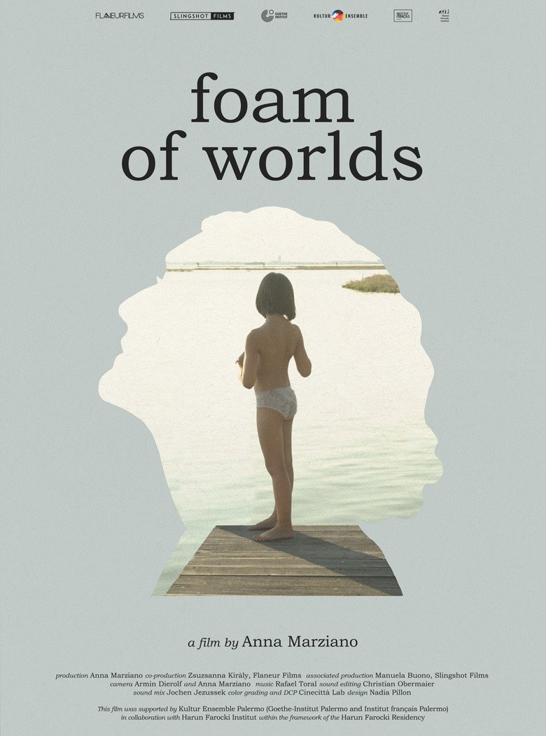 Foam of Worlds poster