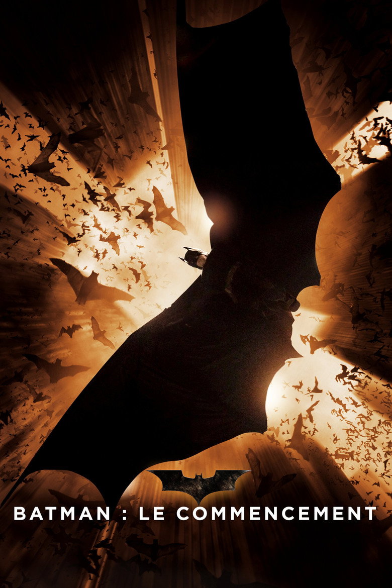 Póster la Película