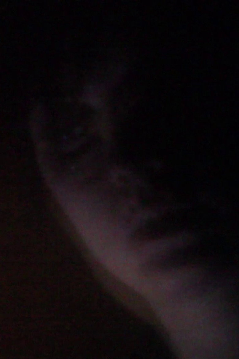Imatge de Psicopompo