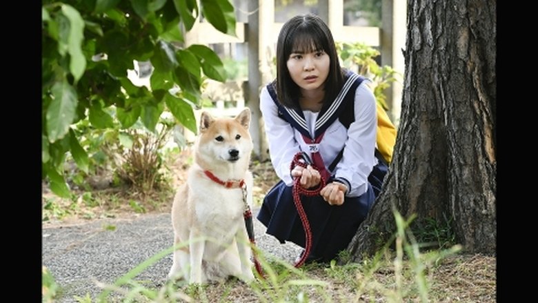 Still image for Today's Walk season 1 episode 1: Episode 1