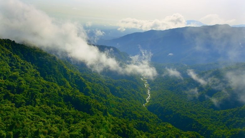 Gallery image from cGhpAFhAmFDcy1VknEJEJKxUTbx.jpg