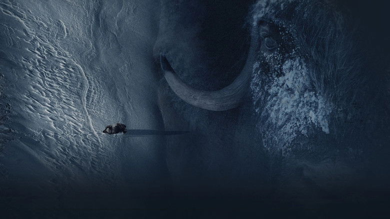 Unwavering | Official Trailer | a film by Chris Schmid